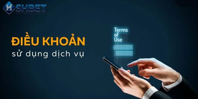 Điều khoản sử dụng